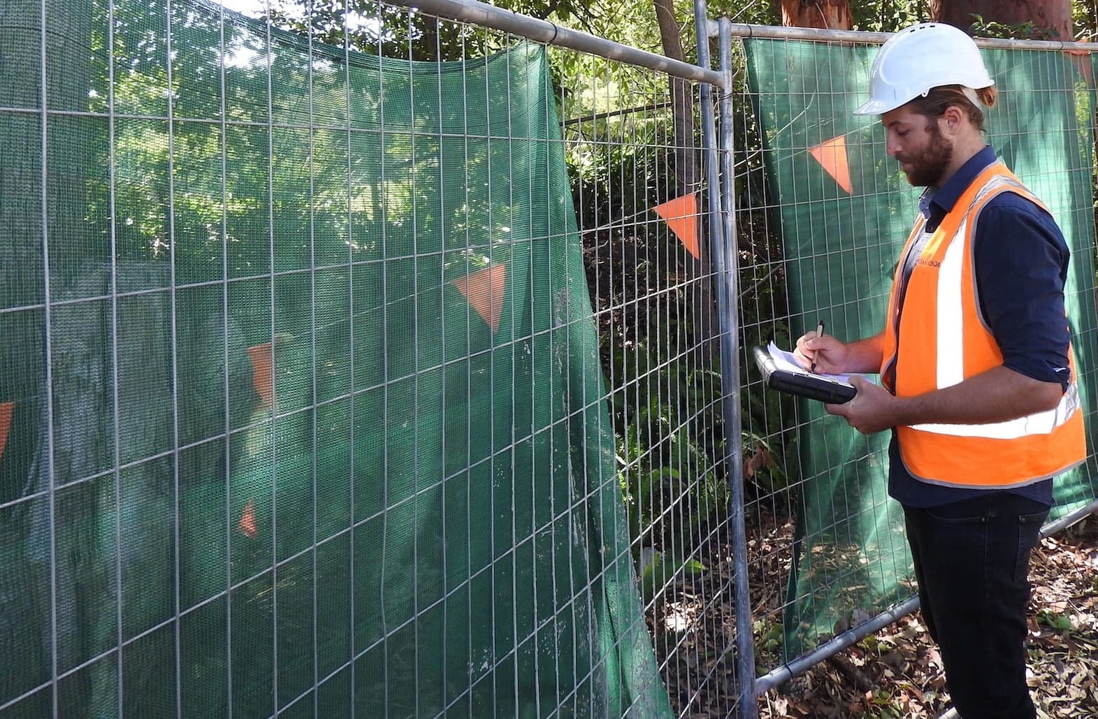 Professional tree service image - Our Arborist Services Sydney