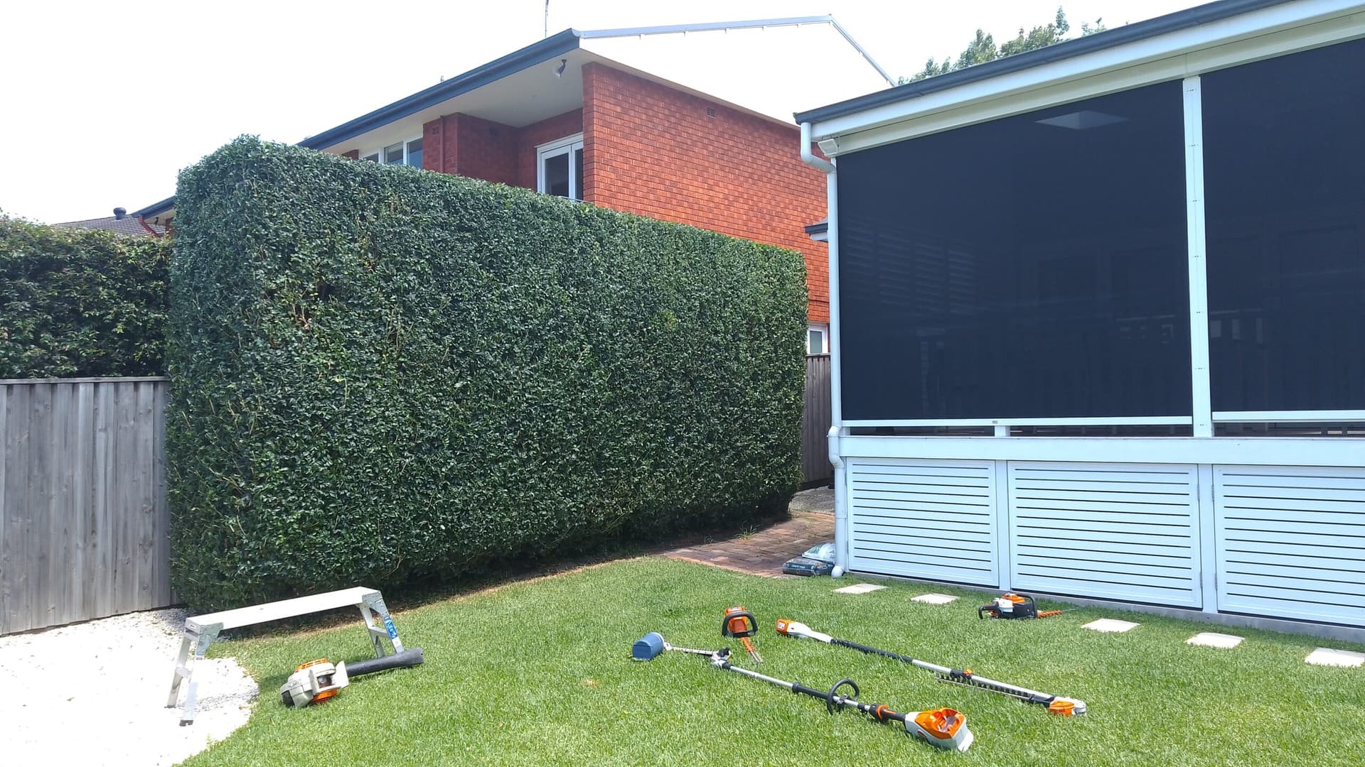 Professional tree service image - Our Hedge Trimming Services Sydney