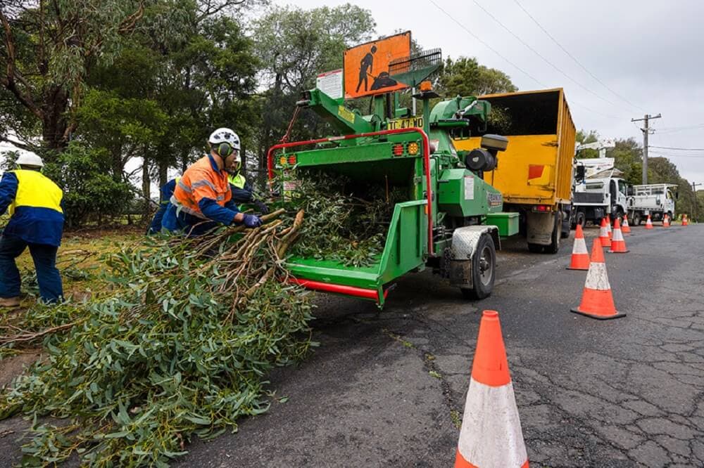 Professional tree service image - Recent Land Clearing Projects in Sydney