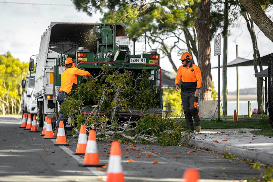 Professional tree service image - Recent Land Clearing Projects in Sydney