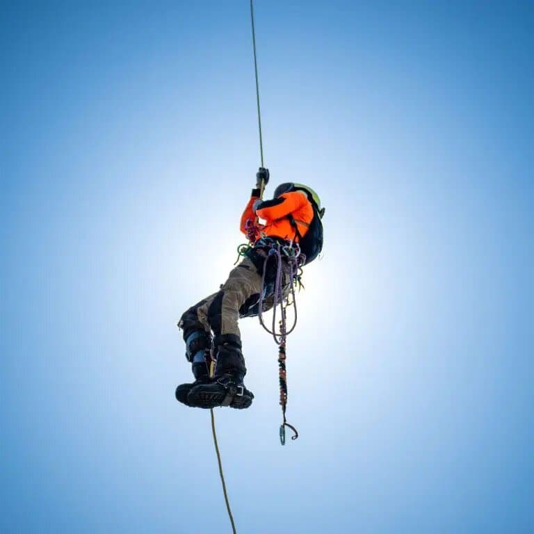 Certified arborist performing professional tree assessment