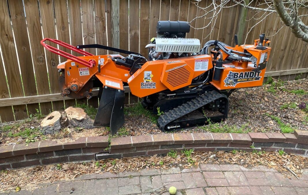 Commercial stump grinder equipment for efficient removal