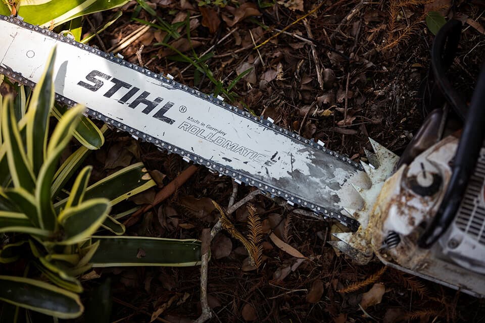 Professional STIHL chainsaw equipment used for tree removal