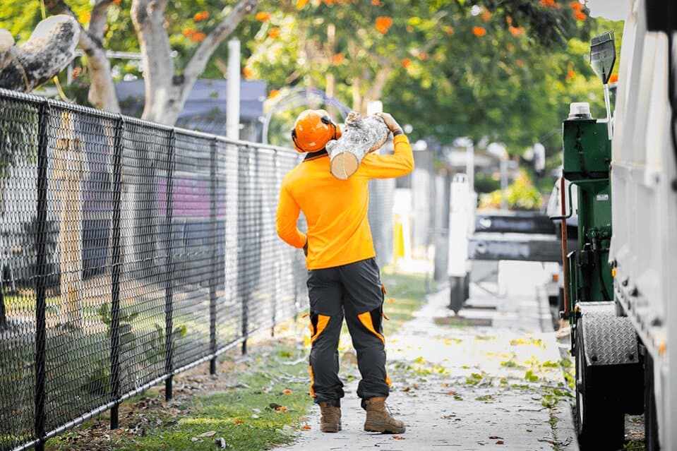 Tree cleanup and disposal service in Sydney