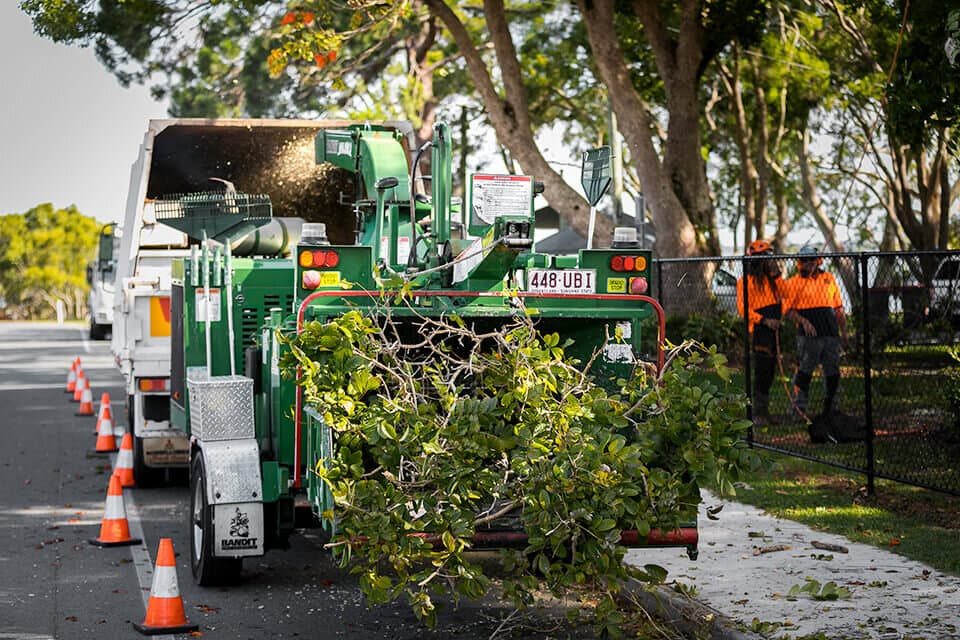 Wood chipper for tree disposal and cleanup in Sydney