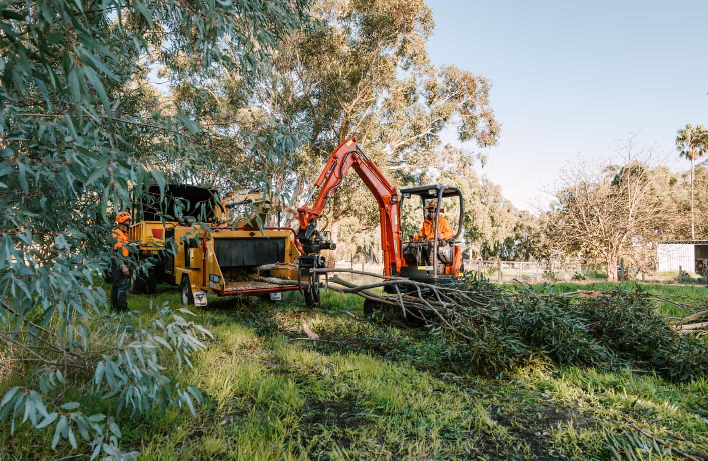 Land Clearing