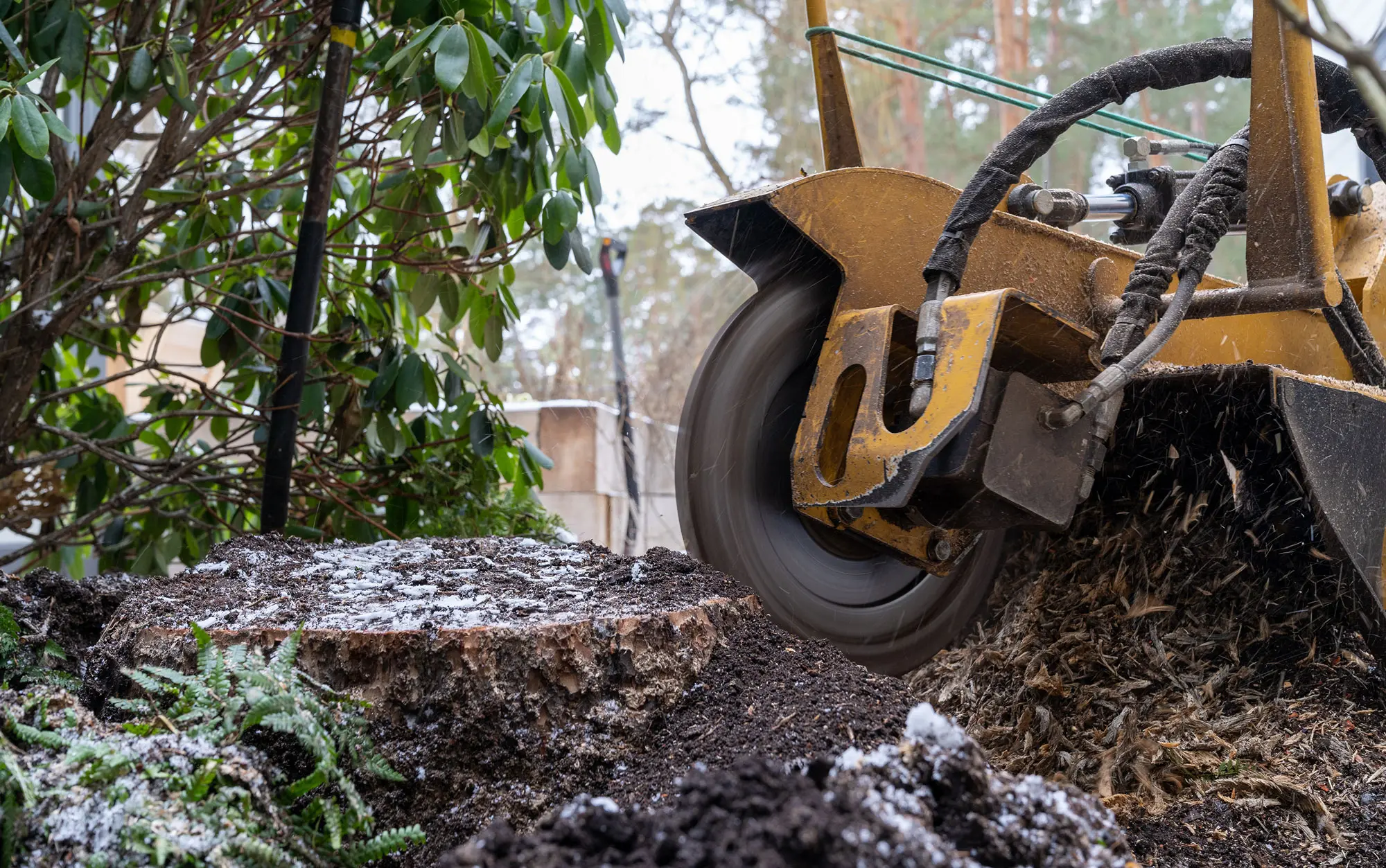 Stump Grinding