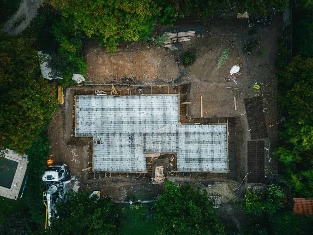 Arborist Reports for Development Applications: Sydney Guide